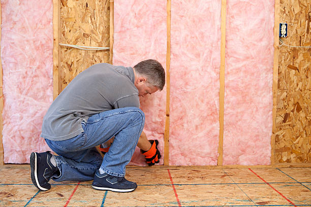 Insulation Air Sealing in Dewitt, AR